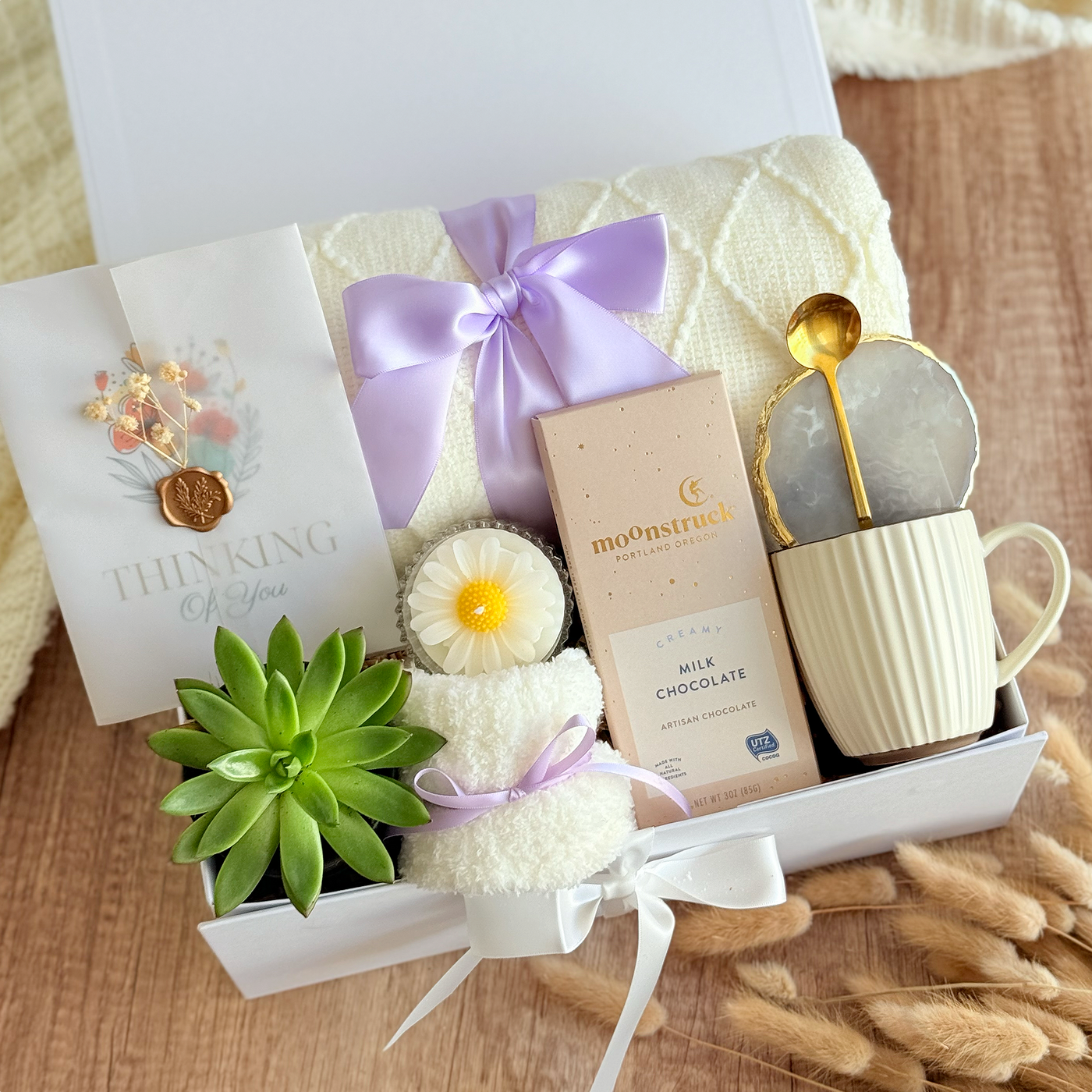 Succulent & Socks Comfort Box — front view